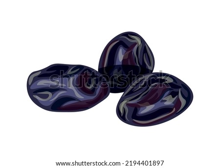 Dried prunes isolated on a white background. Vector illustration of tasty fruit in cartoon style. Dried prunes icon. Design element, logo. Flat style