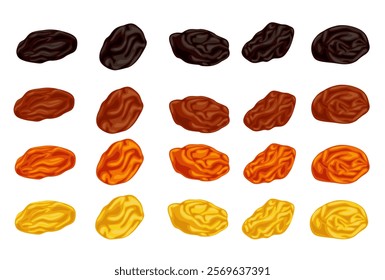 Dried raisins  isolated on white background. Vector eps 10.