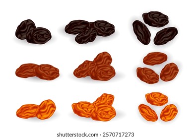Dried raisins isolated on white background. Vector eps 10.