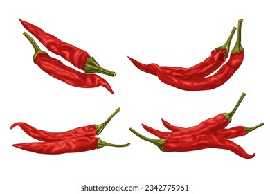 Dried red chili  isolated on white background.Vector illustration cartoon style.