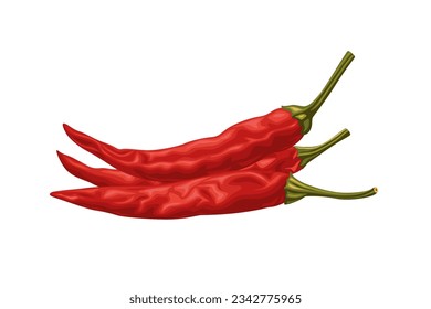 Dried red chili  isolated on white background.Vector illustration cartoon style.