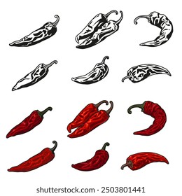 Dried red chili isolated on white background.Vector illustration cartoon style.