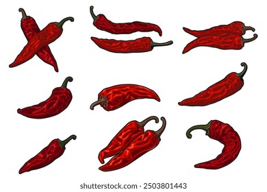 Dried red chili isolated on white background.Vector illustration cartoon style.