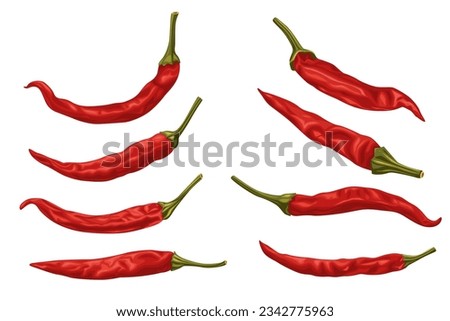 Dried red chili  isolated on white background.Vector illustration cartoon style.