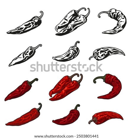 Dried red chili isolated on white background.Vector illustration cartoon style.