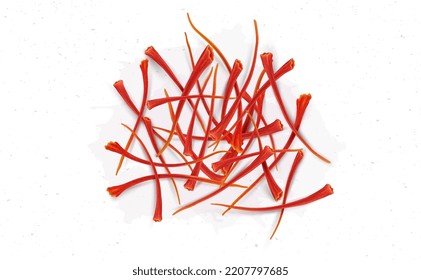 Dried Saffron spices vector illustration