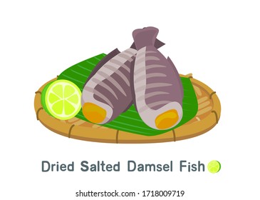 Dried salted damsel fish vector