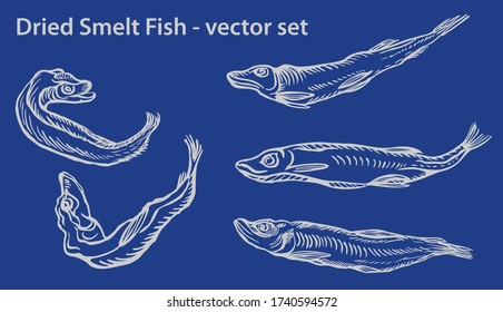 Dried Salted Smelt Fish - vector illustration, beer snack, ink drawing for package design