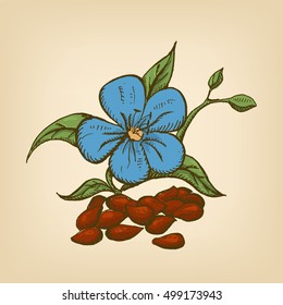 Dried seeds of dark flax with flowers. Vector illustration. Hand drawn illustration.