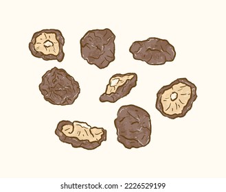Dried Shiitake Mushroom from different angles in flat vector illustration art design