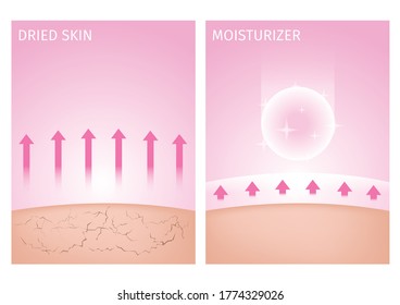 dried skin   skin and moisturizer   before   after / 2 step