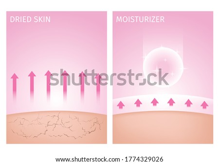 dried skin and skin with moisturizer , before and after / 2 step