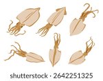 Dried squid isolated on black background. Vector eps 10. perfect for wallpaper or design elements	