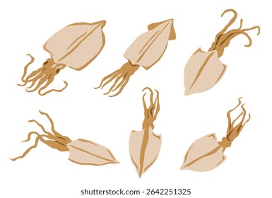 Dried squid isolated on black background. Vector eps 10. perfect for wallpaper or design elements	