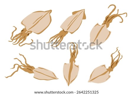 Dried squid isolated on black background. Vector eps 10. perfect for wallpaper or design elements	