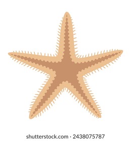 Dried starfish. Starfish icon flat style. Sea animal cartoon style. Echinoderm. Underwater Marine icon Isolated on white background. Summer vector illustration