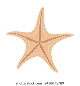 Dried starfish. Starfish icon flat style. Sea animal cartoon style. Echinoderm. Underwater Marine icon Isolated on white background. Summer vector illustration