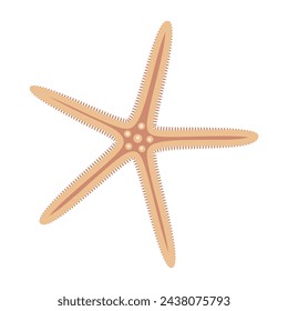 Dried starfish. Starfish icon flat style. Sea animal cartoon style. Echinoderm. Underwater Marine icon Isolated on white background. Summer vector illustration