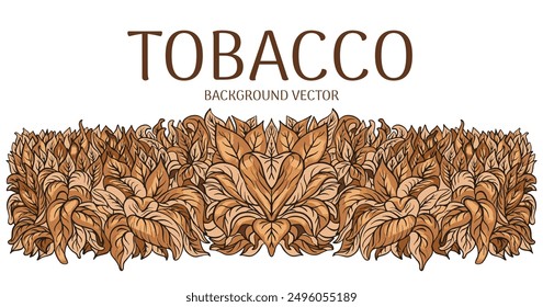 Dried tobacco leaves. Background of harvested tobacco leaves