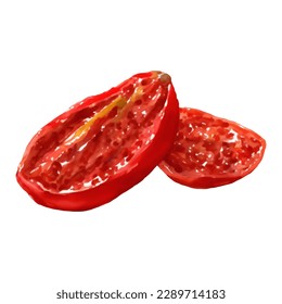 Dried Tomatoes Isolated Hand Drawn Painting Illustration