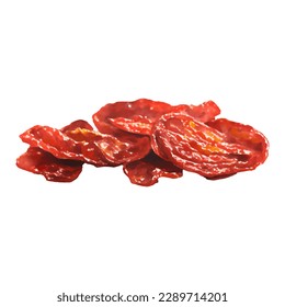 Dried Tomatoes Isolated Hand Drawn Painting Illustration