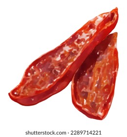 Dried Tomatoes Isolated Hand Drawn Painting Illustration