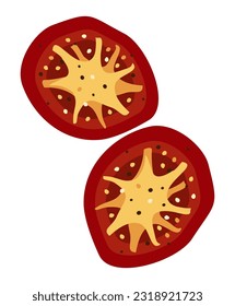 Tomates secos. Dos rebanadas. Ilustración aislada del vector.