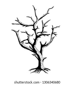 Dried Tree with Cut Branches, Silhouette Vector on White Background - Vector Illustration