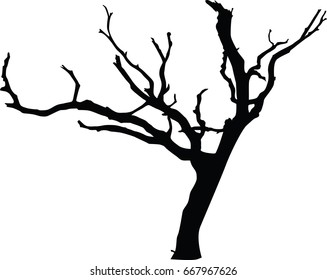 dried tree on isolate and in vector