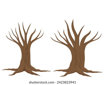 Dried trees on a white background.