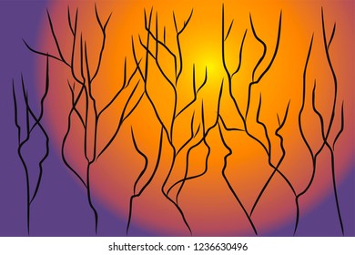 Dried trees silhouettes against the background of a burning hot burning destroying hot bright sun.