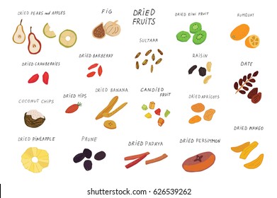 Dried vector fruits food set.
