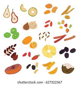 Dried vector fruits food set.