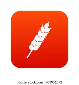 Dried wheat ear icon digital red for any design isolated on white vector illustration