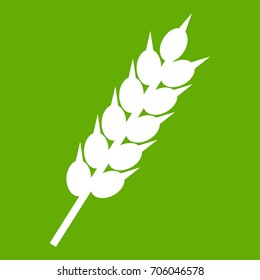 Dried wheat ear icon white isolated on green background. Vector illustration