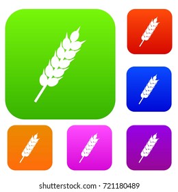 Dried wheat ear set icon color in flat style isolated on white. Collection sings vector illustration