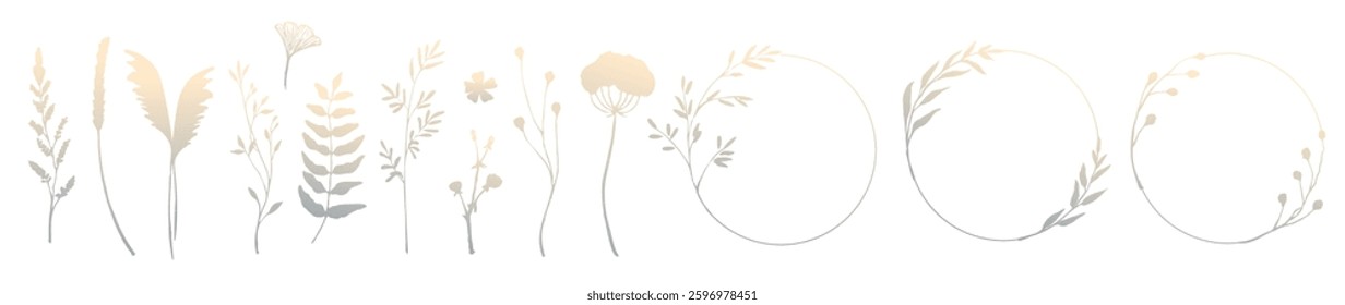 Dried wildflower plants stem, leaves, floral round frame ornamental decoration gradient color elegant luxury style isolated set. Dry meadow grass and flowering bloom composition vector illustration