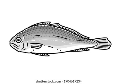 Dried yellow corvina(corbina). Vector line art illustration.