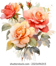 Drift Roses ,Watercolor illustration. Hand drawn underwater element design. Artistic vector marine design element. Illustration for greeting cards, printing and other design projects.