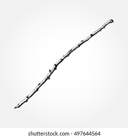 Driftwood forest ground floor hand drawn ink rustic design element. Dry tree branch and wooden twig in natural rural style. Vintage highly detailed classic ink drawing art in engraved style. Vector.