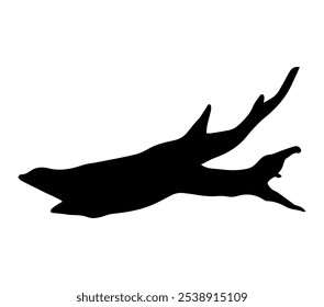 Driftwood tree. Black silhouette. Isolated on white background. 