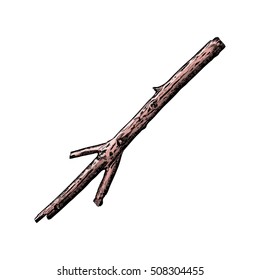 Driftwood twig. Vector. Hand drawn wood twig, ink rustic design element. Dry wood tree branch and wooden twig. 
