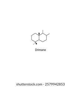 Drimane skeletal structure.Sesquiterpene compound schematic illustration. Simple diagram, chemical structure.