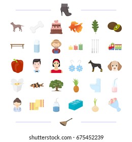 drink, animal, breed, profession and other web icon in cartoon style. food, wedding, tool icons in set collection.