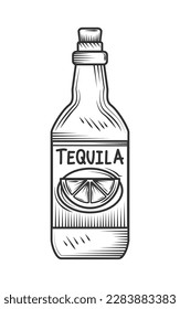 drink bottle of tequila icon isolated