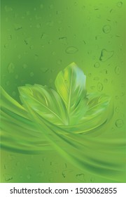 Drink with fresh mint leaves. 3D realistic mint on green background together with water. Drops water with mint leaves. Vector illustration