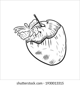 drinking coconut. cocktail with a straw and a flower. welcome drink. vector eps 10 black and white sketch.