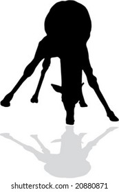 Drinking giraffe silhouette
