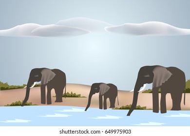 Drinking herd of Elephants - Vector EPS10