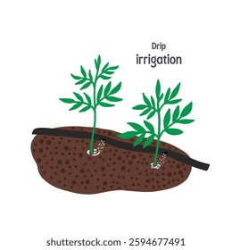 Drip irrigation for garden isolated on white background. Vector illustration